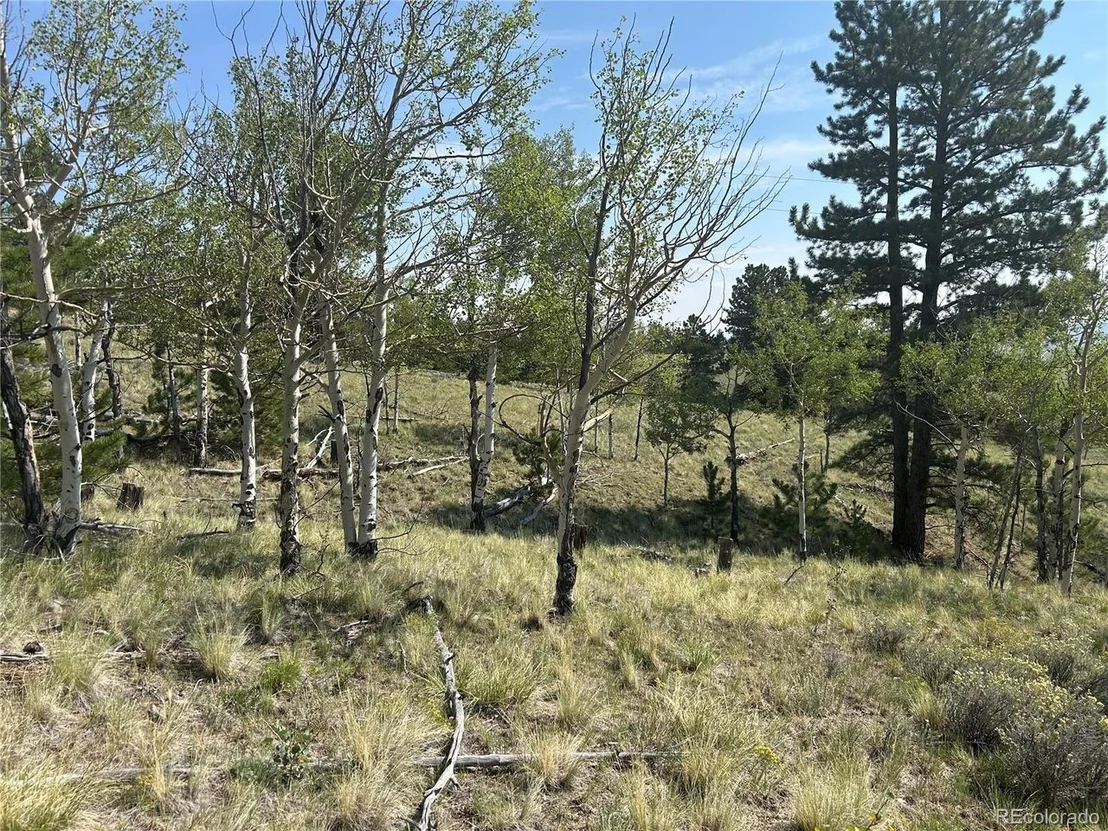 Photo of 11414 Ranch Rd