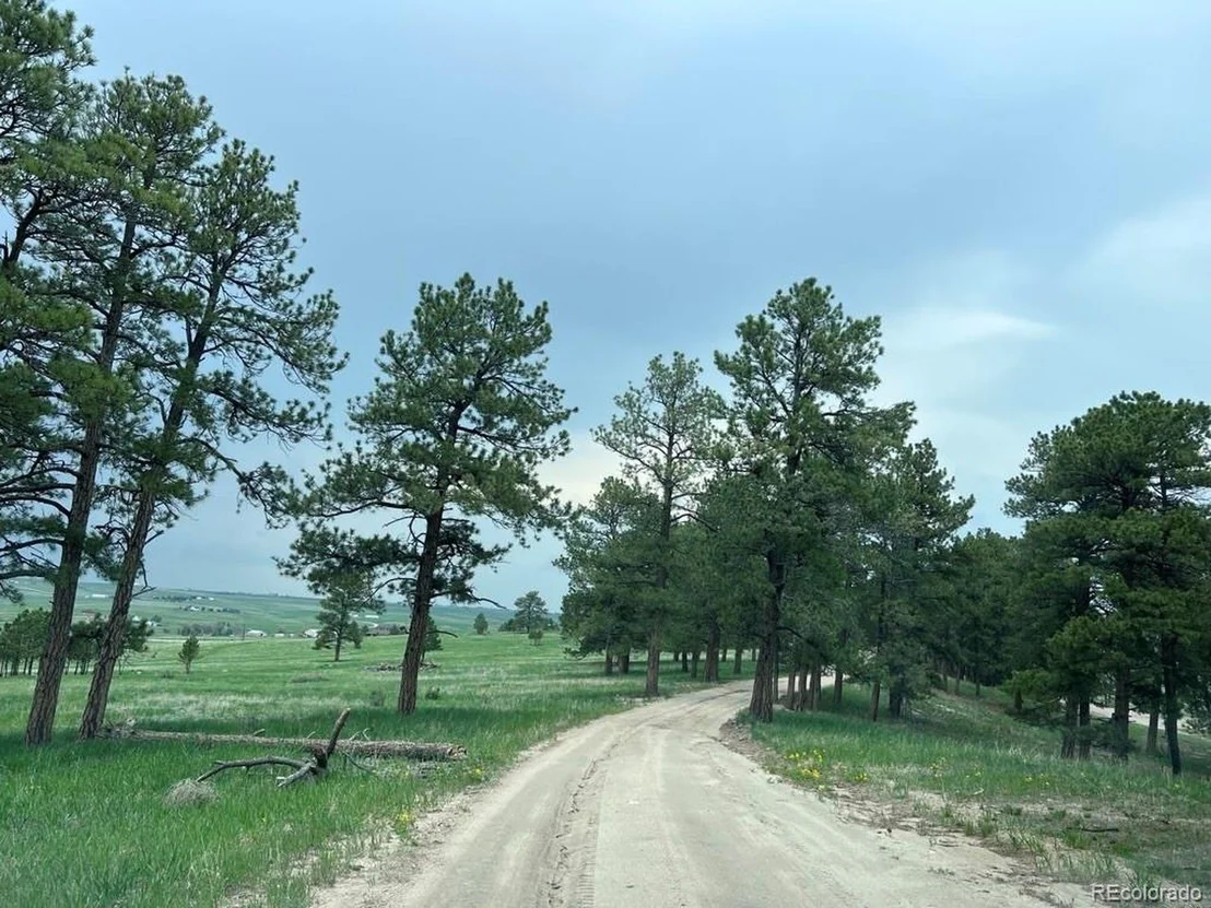 Photo of 4560 County road 114