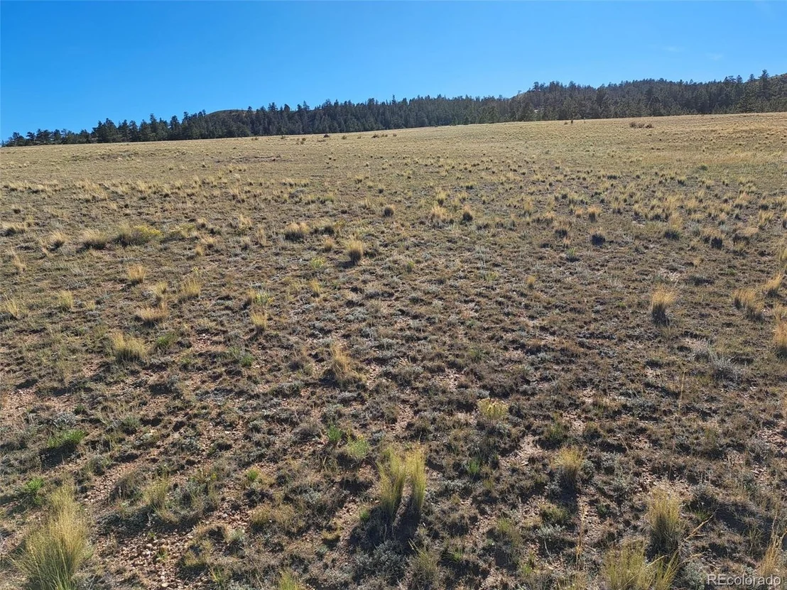 Photo of 475 Summit Rd