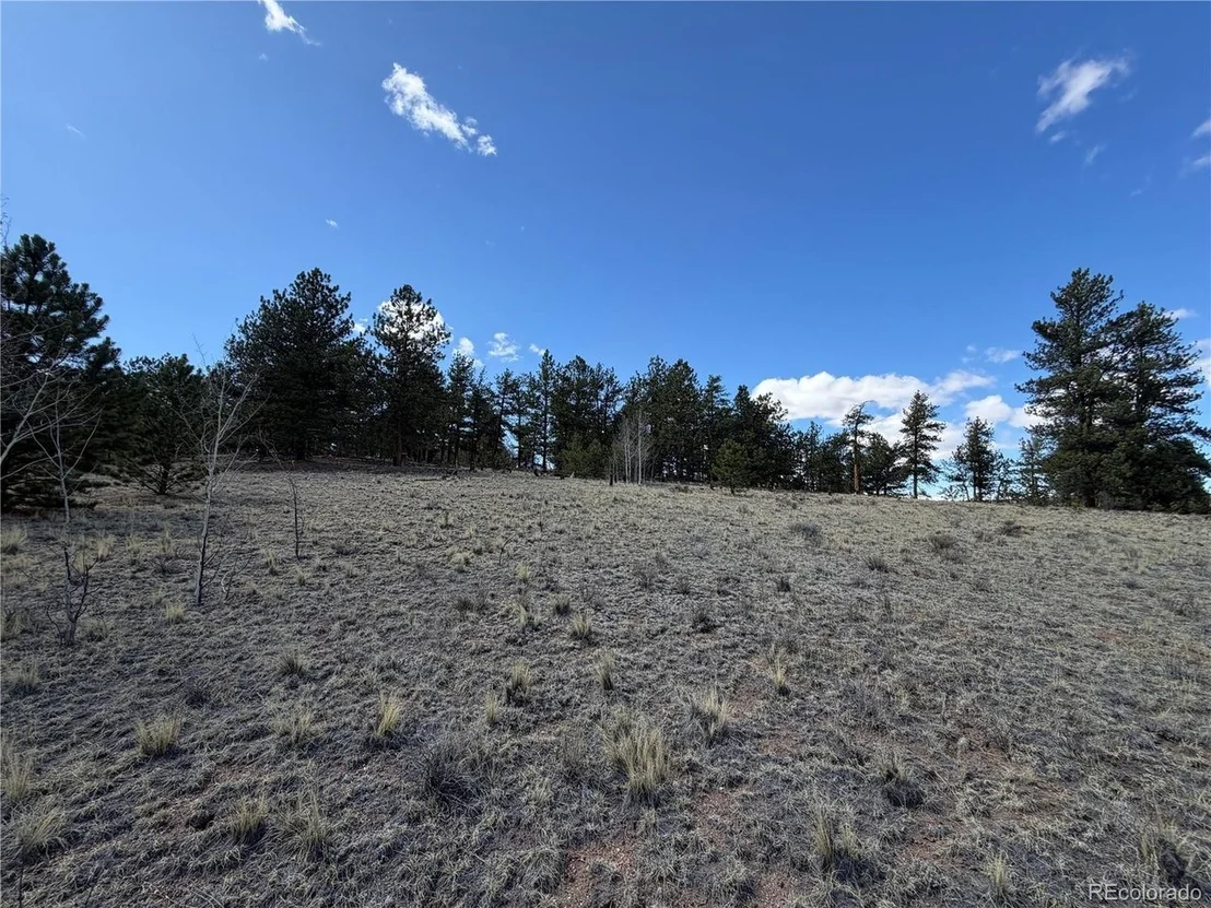 Photo of 239 Shenandoah Path