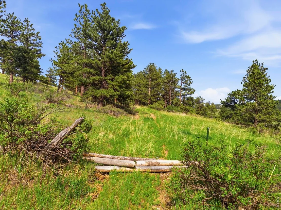 Photo of 8238 Sugarloaf Rd