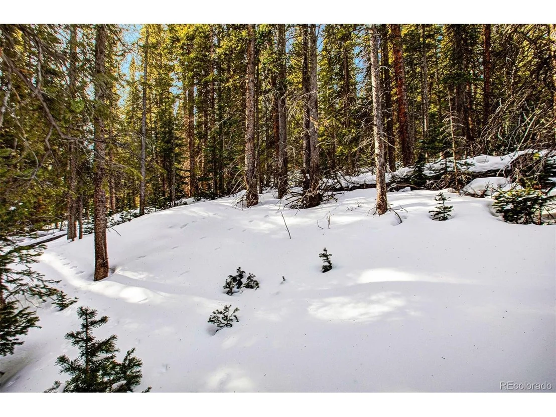 Photo of 345 Bum Dr