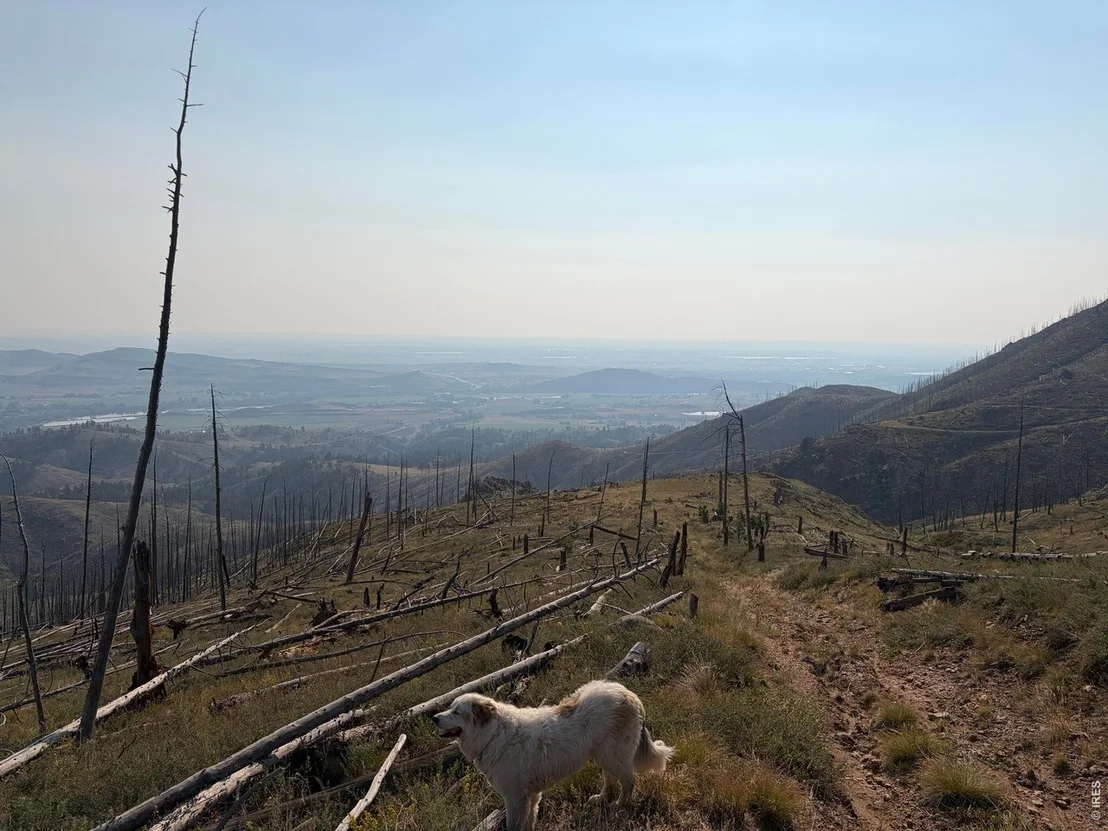 Photo of 0 Pine Acres Rd