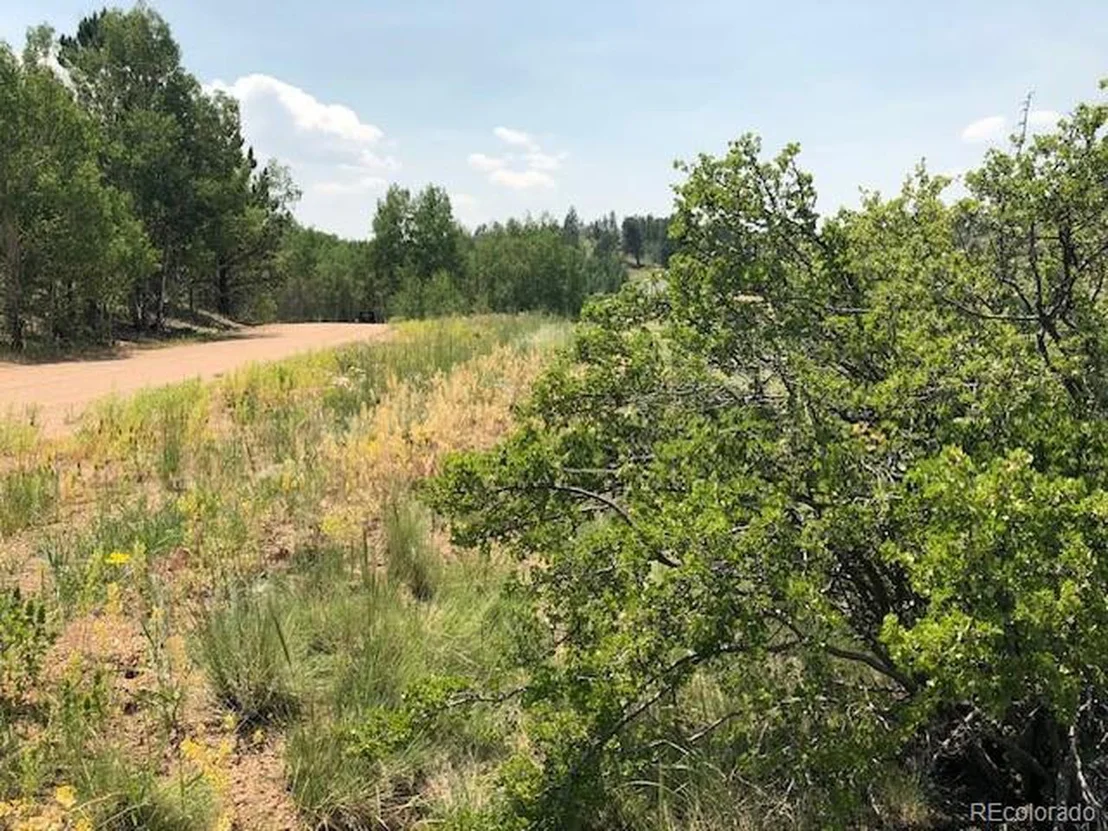 Photo of 550 Aspen Trl