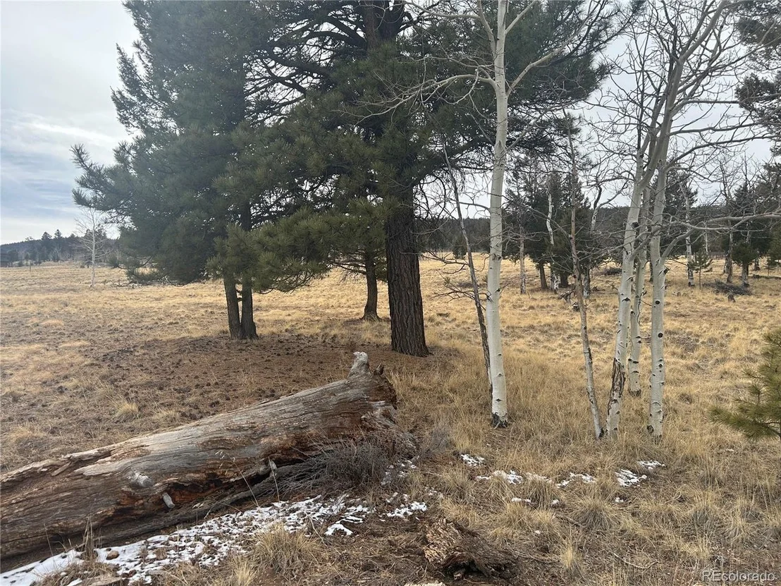 Photo of 1421 Pitchfork Rd