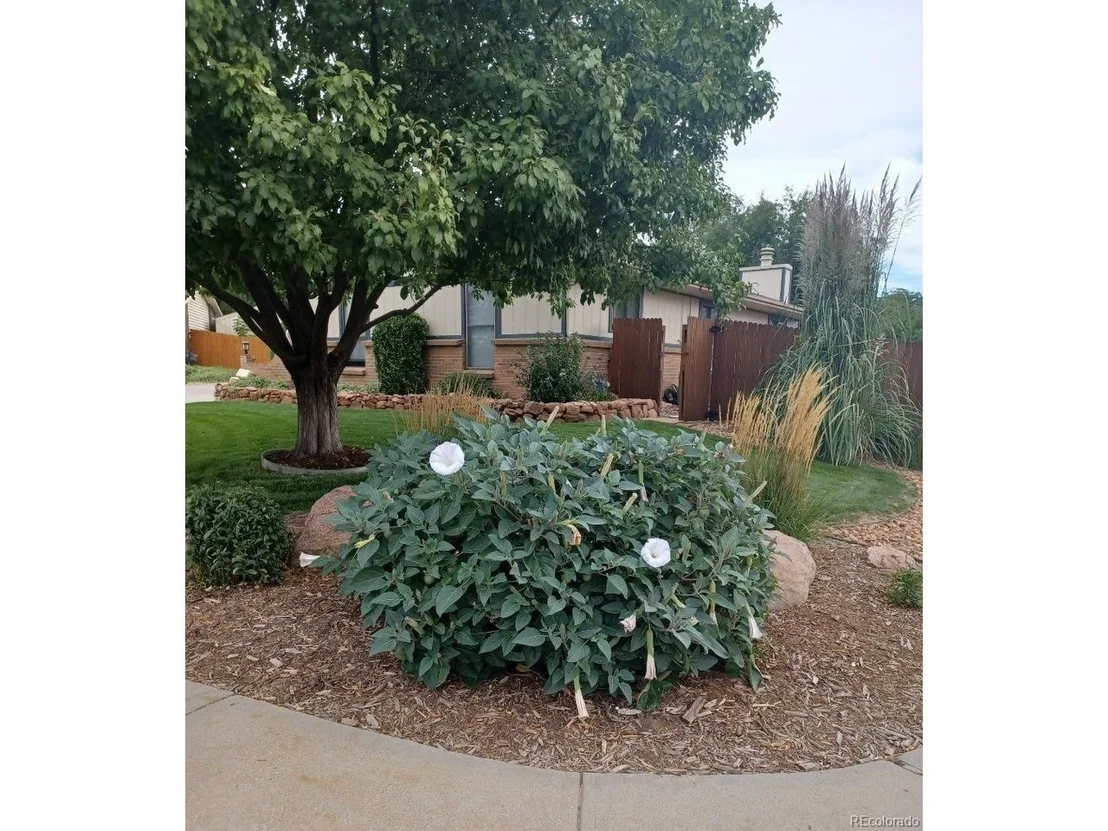 Photo of 13157 Saint Paul Cir