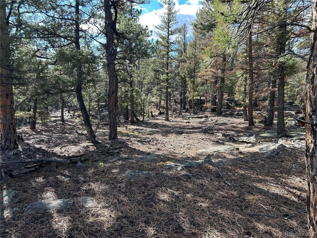 Photo of 1581 Bellows Rd