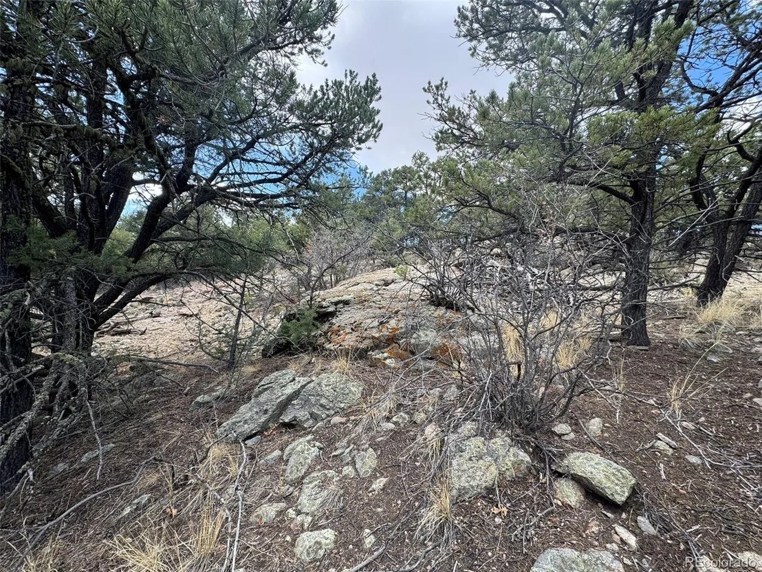 Photo of TBD 33rd