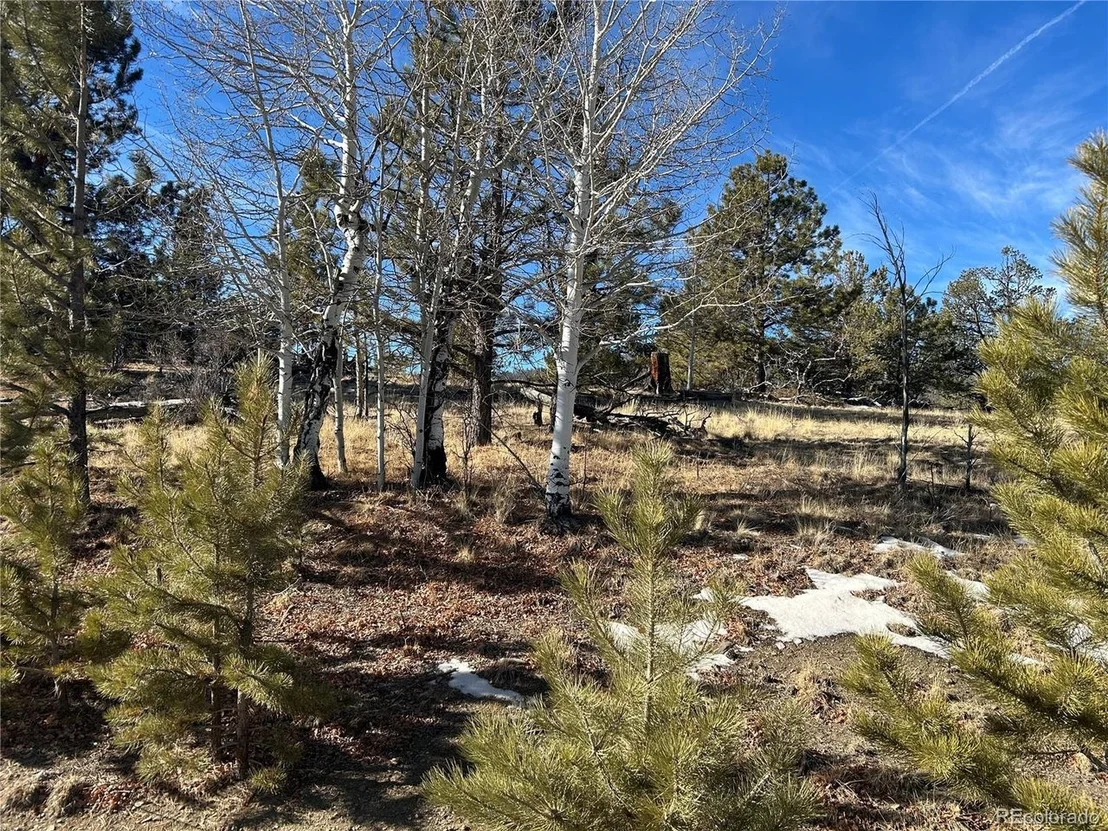 Photo of 3430 Singletree Rd