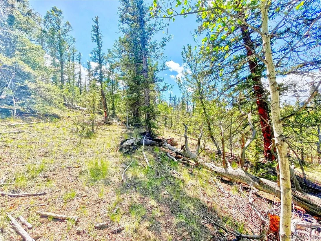 Photo of 224 Apache Trl