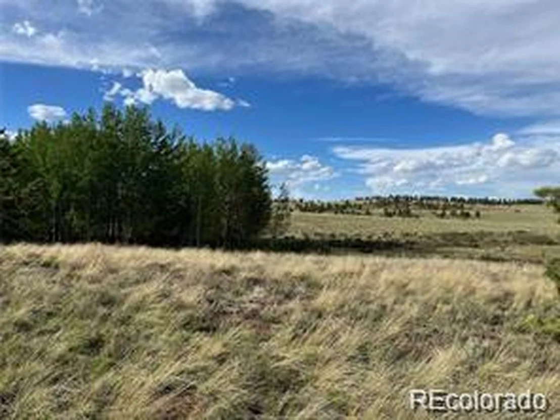 Photo of 1599 Campfire Rd