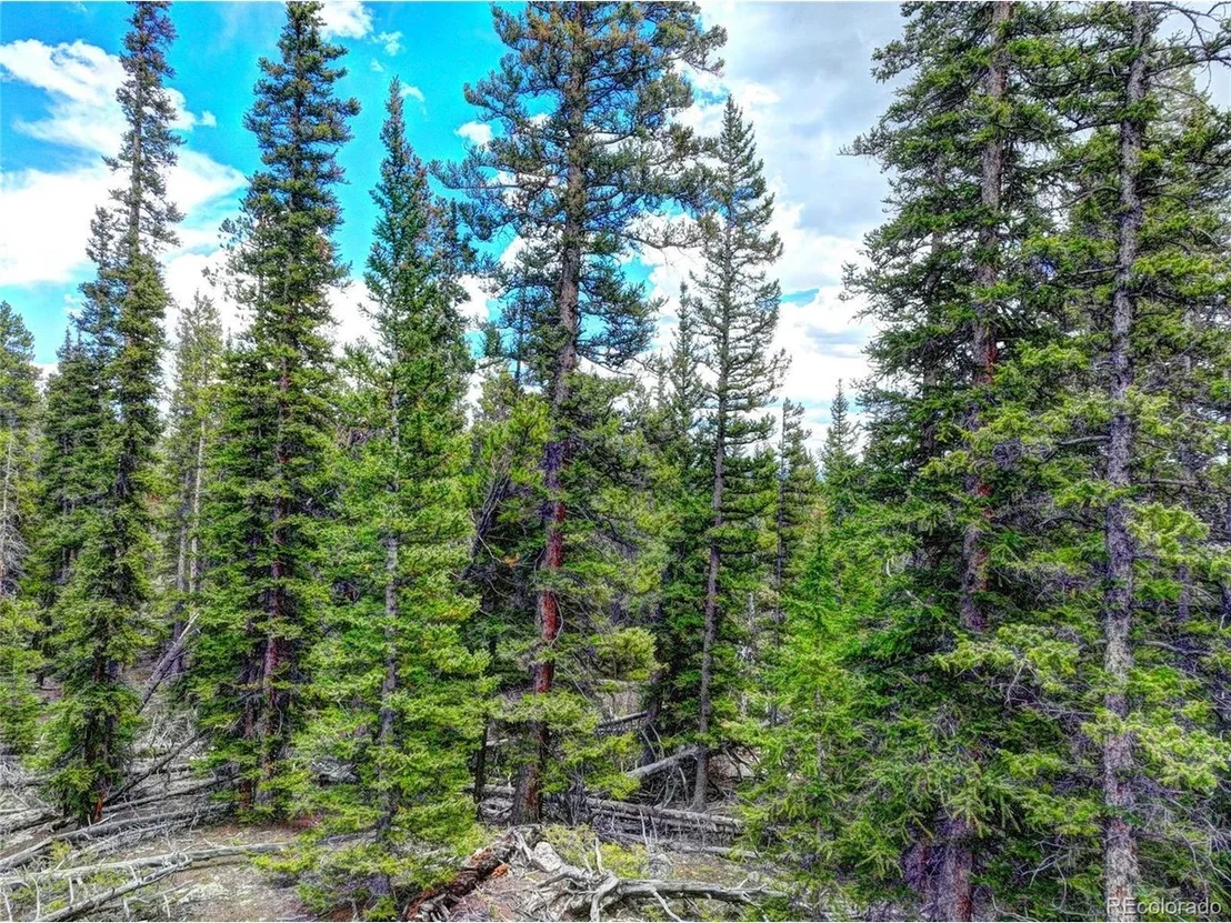 Photo of 0 Dry Gulch Rd