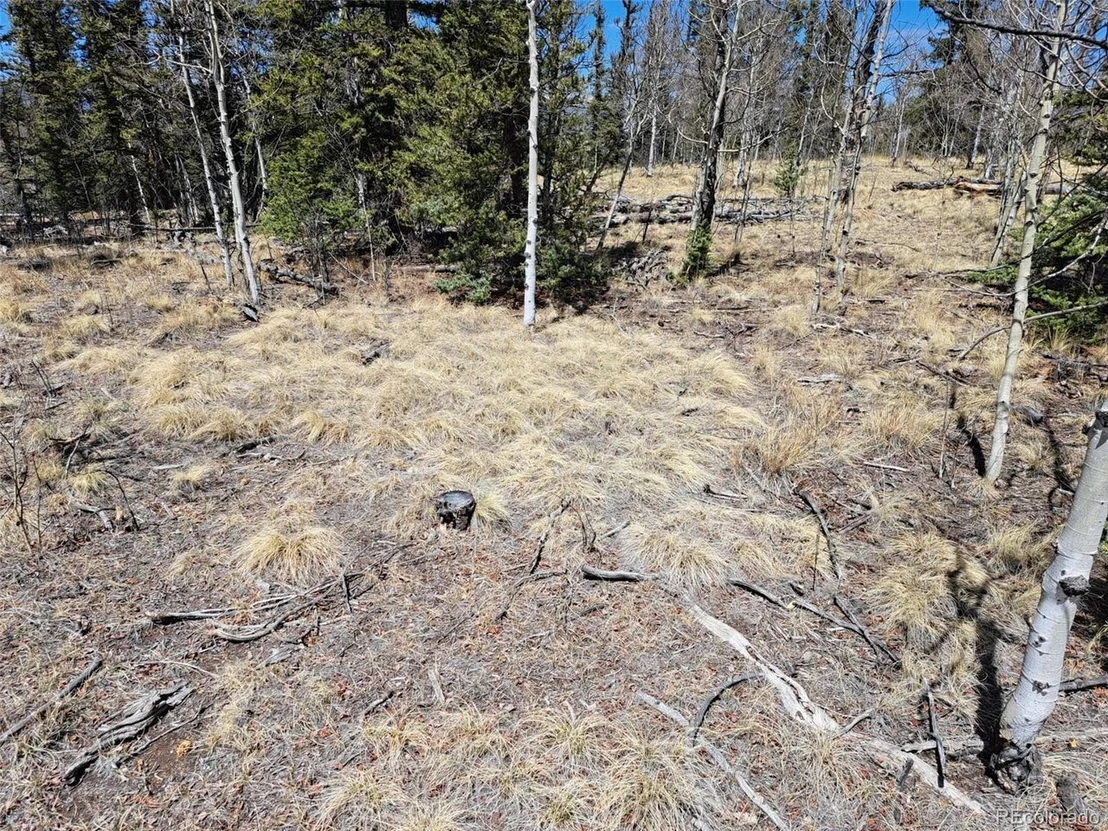 Photo of 730 Tepee Trl