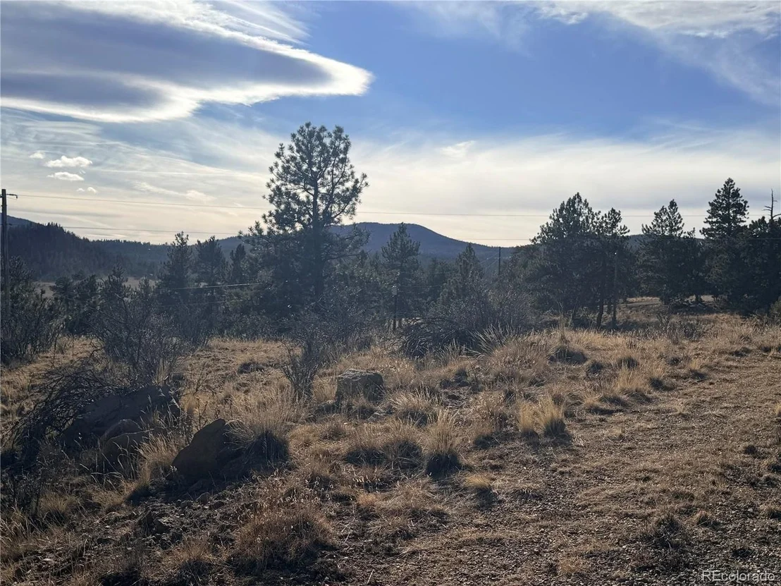 Photo of 729 Bridle Path