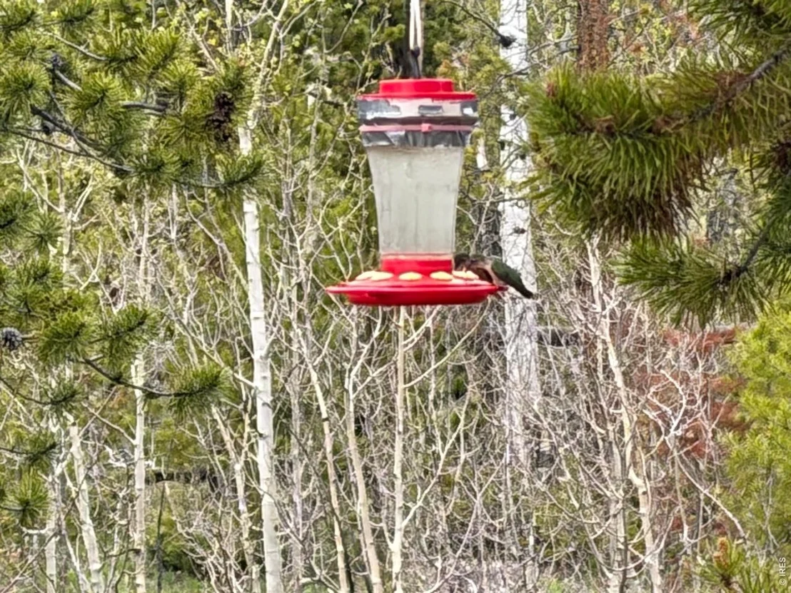 Photo of 25 Aspen Dr