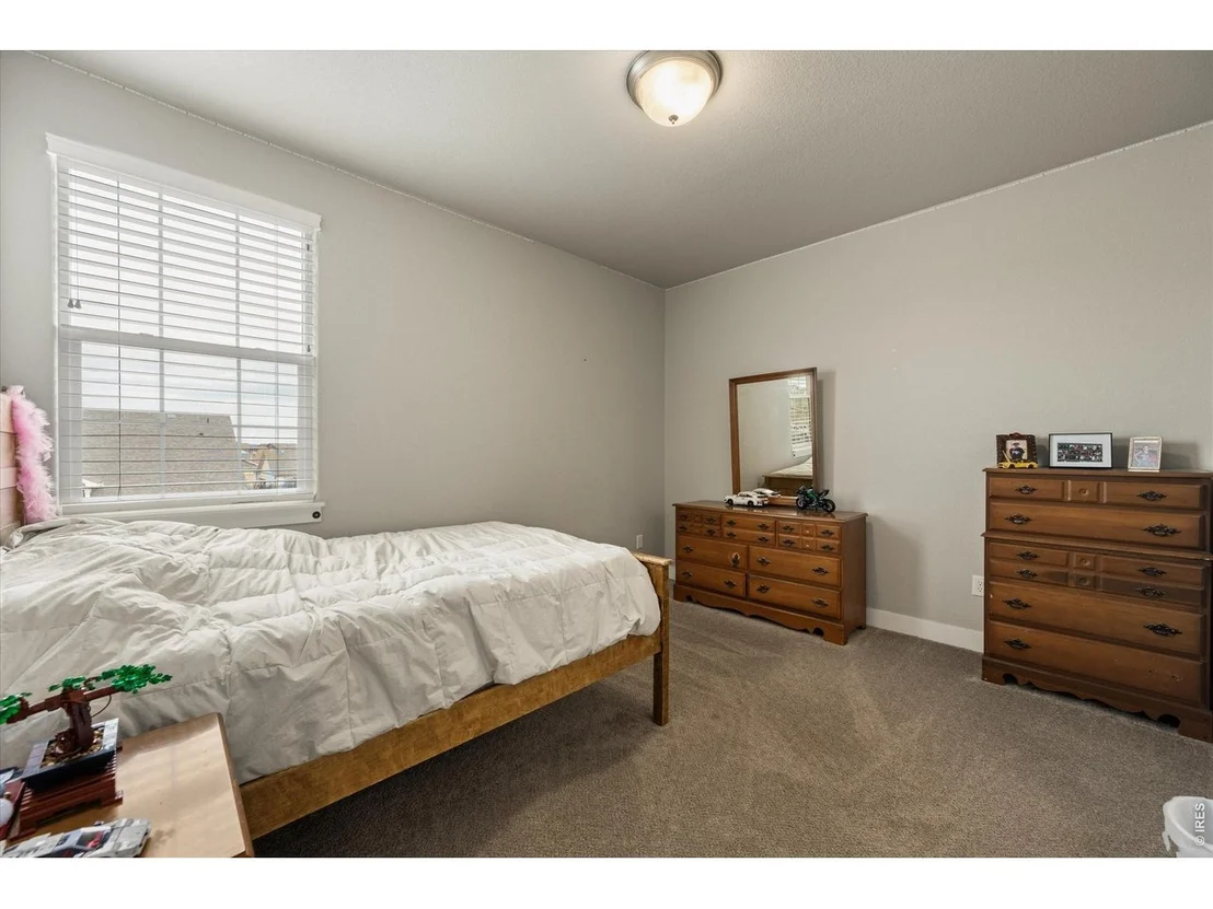 Photo of 479 Mt Belford Dr