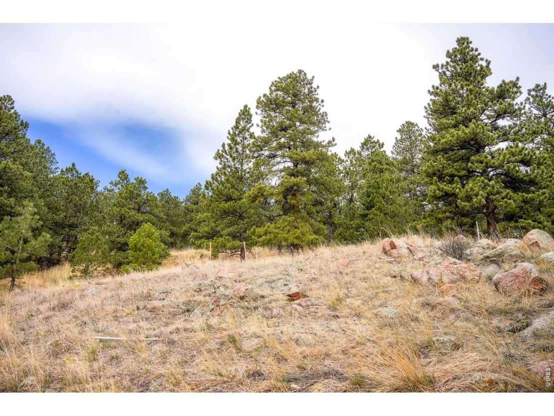 Photo of 61 Wild Horse Cir