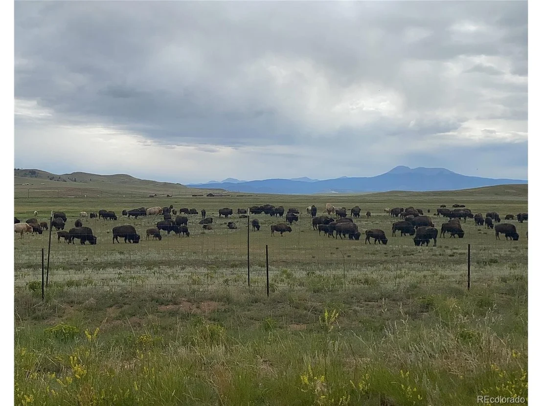 Photo of 878 Cheyenne Trl