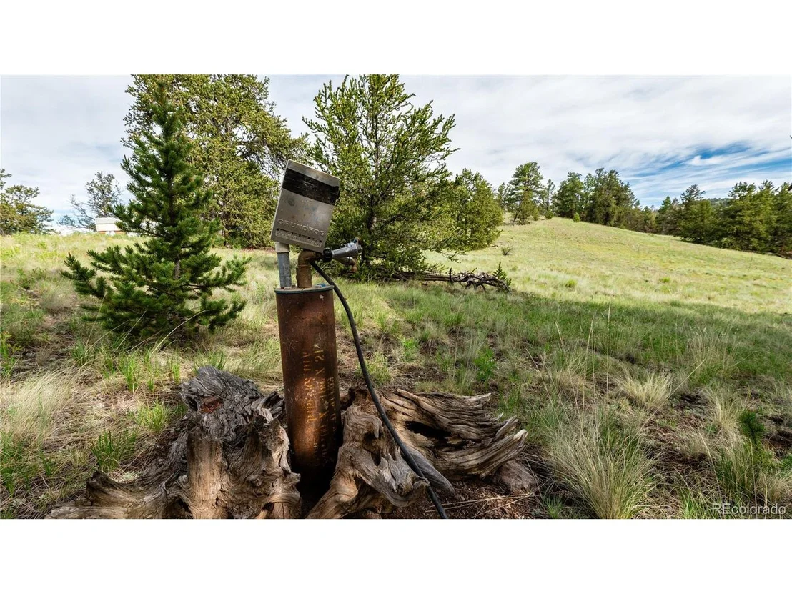 Photo of 5 Elk Height Ln
