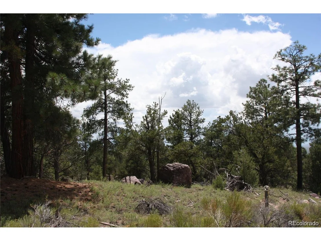 Photo of 1876 Lone Pine Way