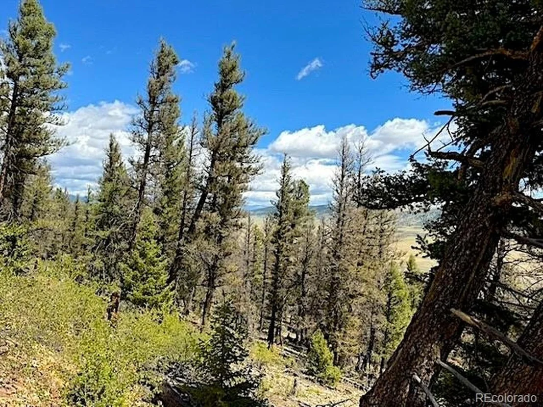 Photo of 2022 Middle Fork Vis