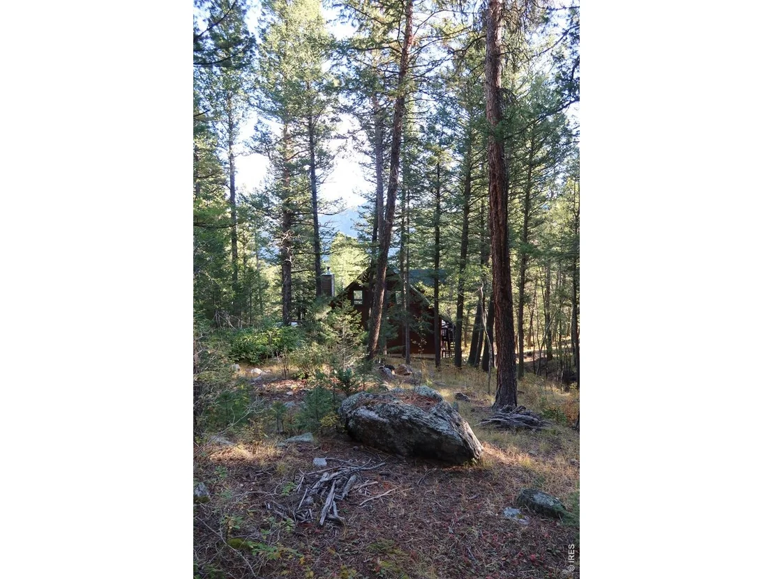 Photo of 1655 Black Squirrel Dr