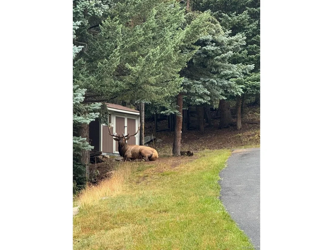 Photo of 0 Snyder Mountain Rd