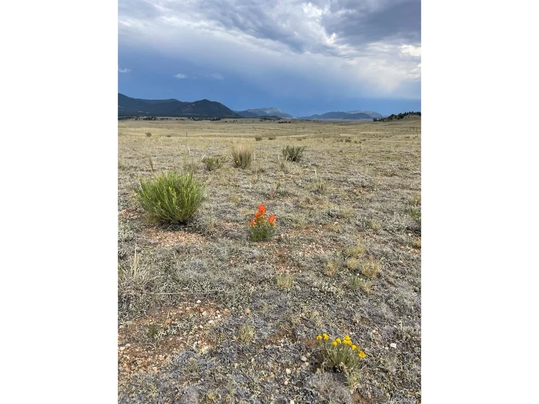 Photo of 205 Cheyenne Trl
