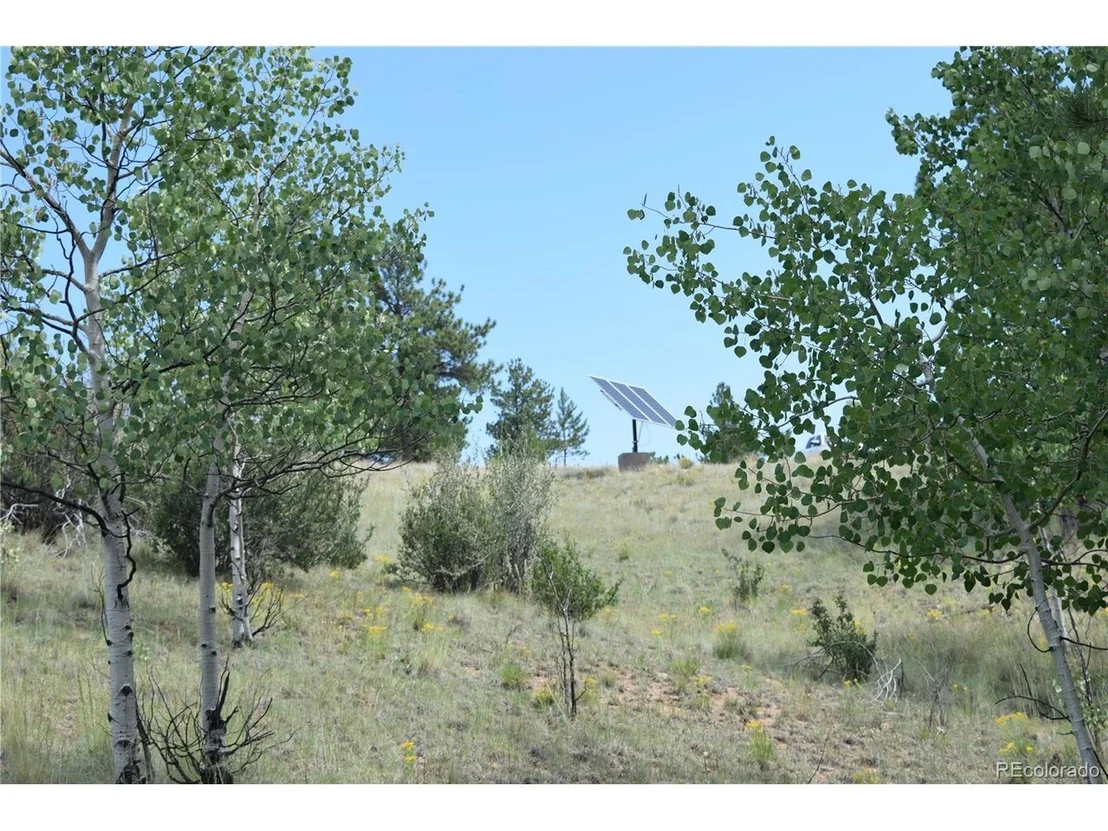 Photo of 1651 Aspen Trl