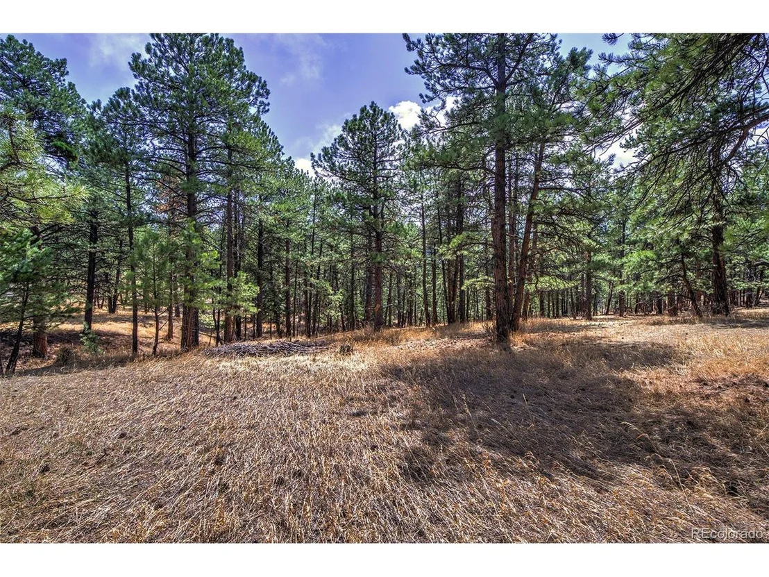 Photo of 27444 Pine Valley Dr