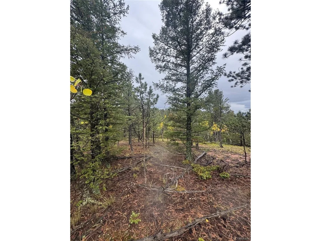 Photo of 7935 County Road 51