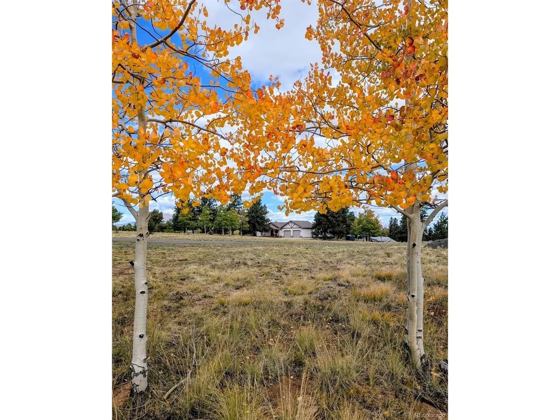 Photo of 3561 Singletree Rd