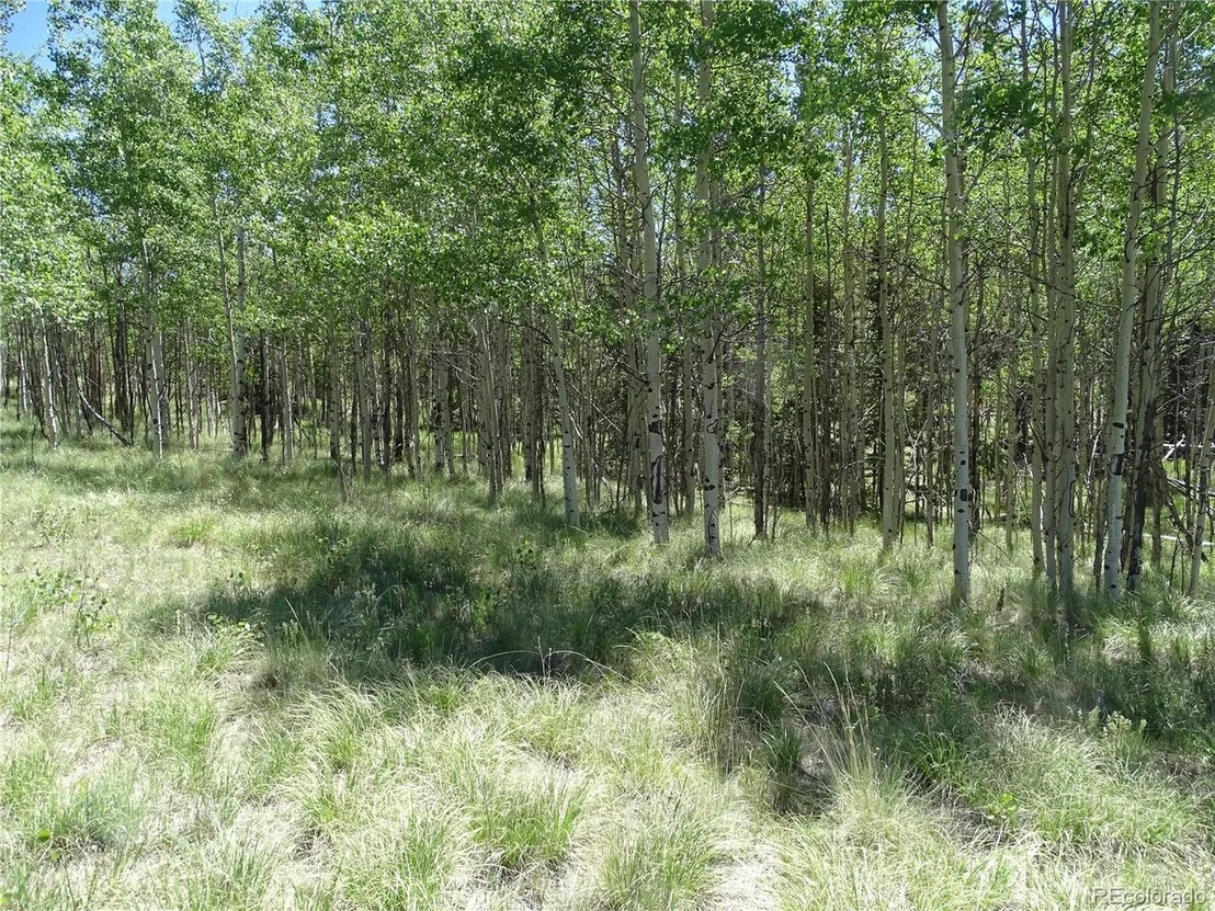 Photo of 782 Bowstring Rd