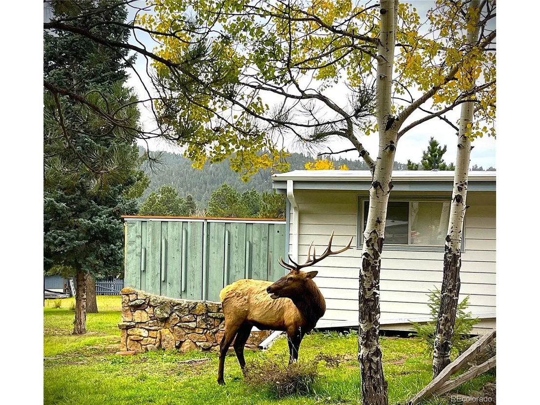 Photo of 28028 Fireweed Dr