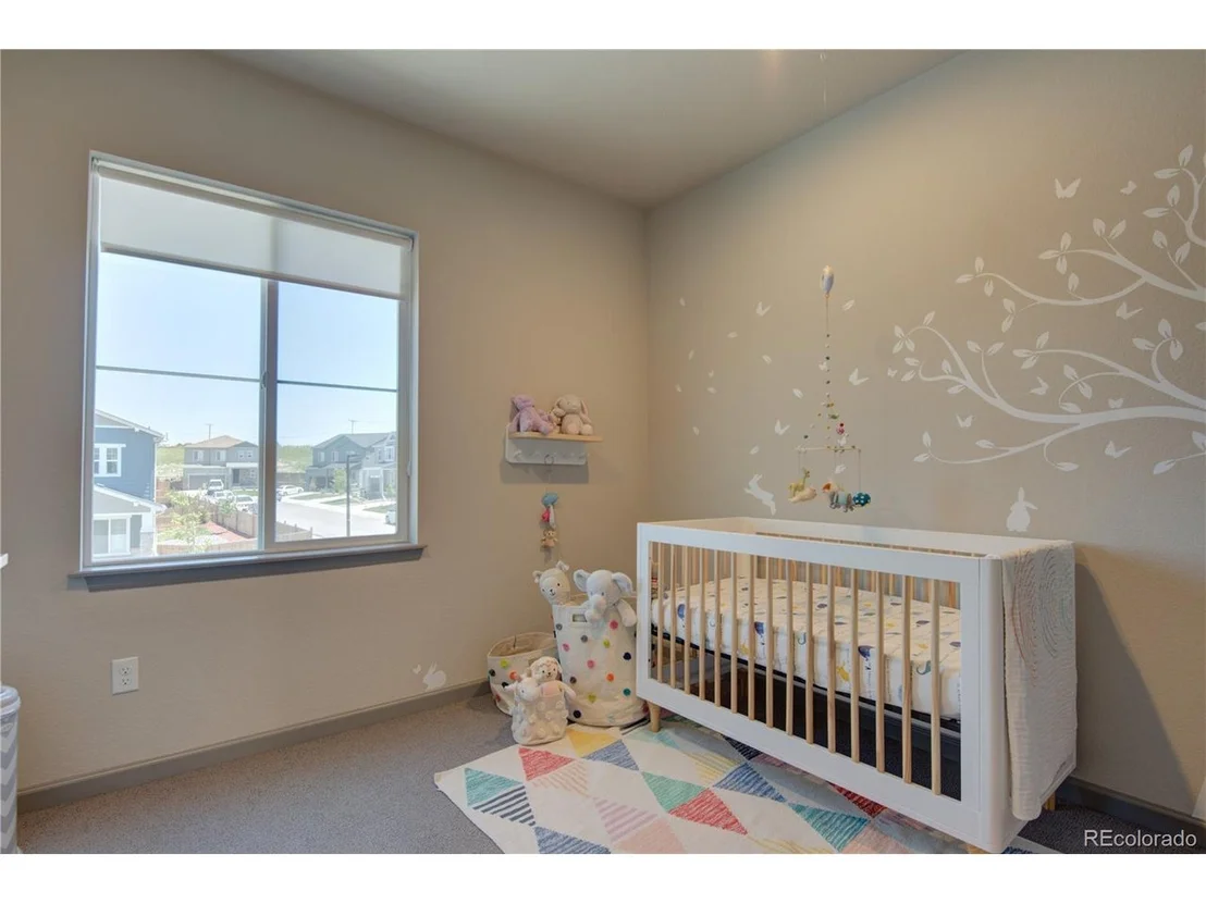 Photo of 4635 Basalt Ridge Cir
