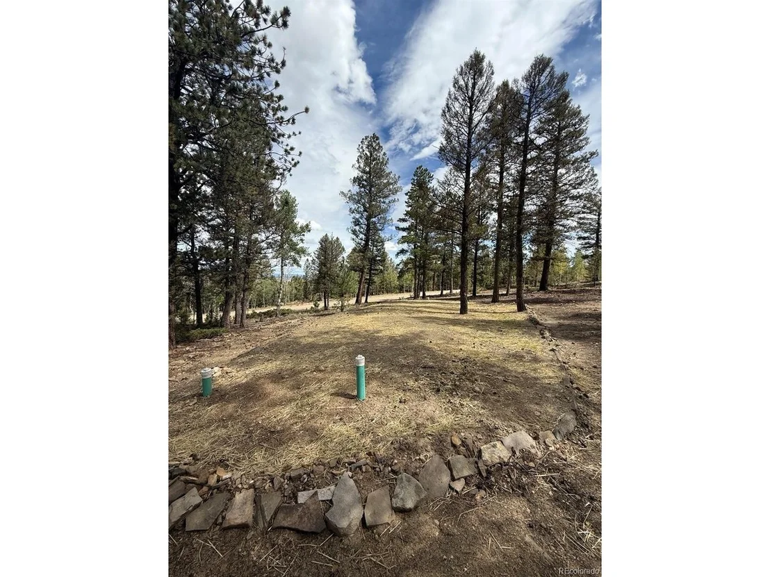 Photo of 1667 Singletree Rd