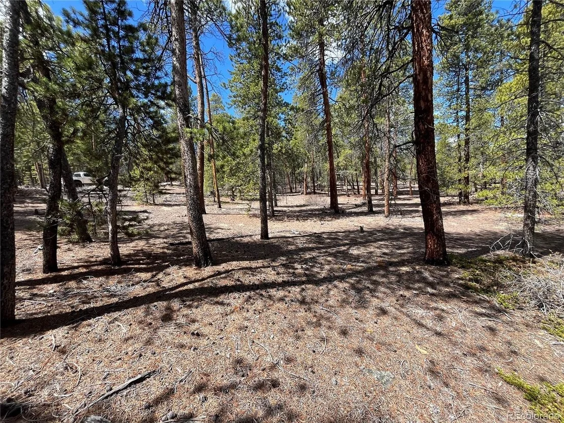 Photo of 1013 Sequoia Dr