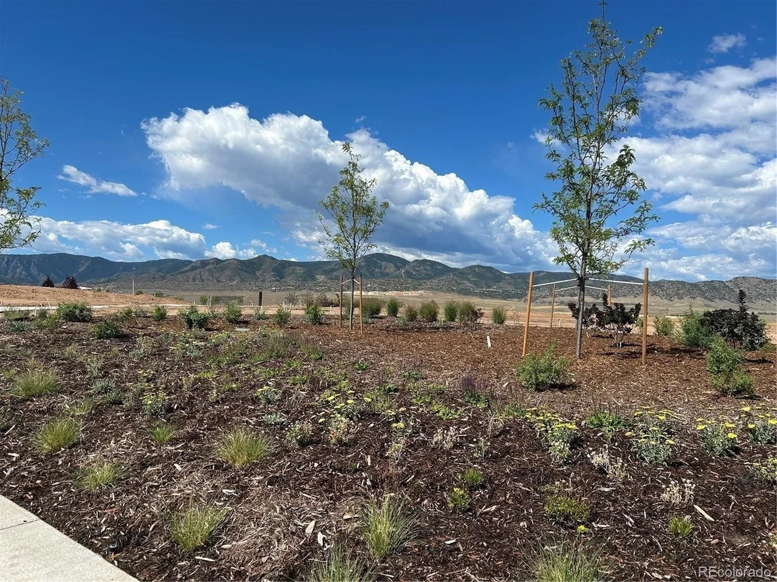 Photo of 9204 Star Fall Cir
