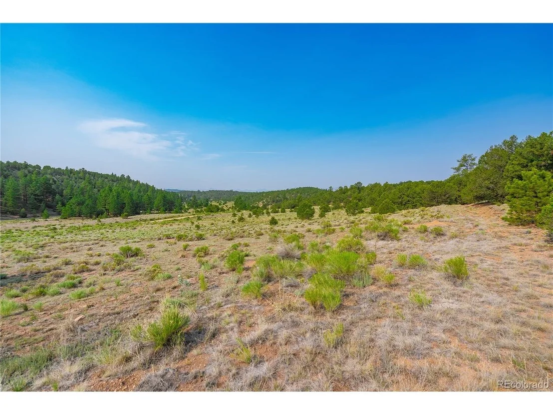 Photo of 65 Elkhorn Rd