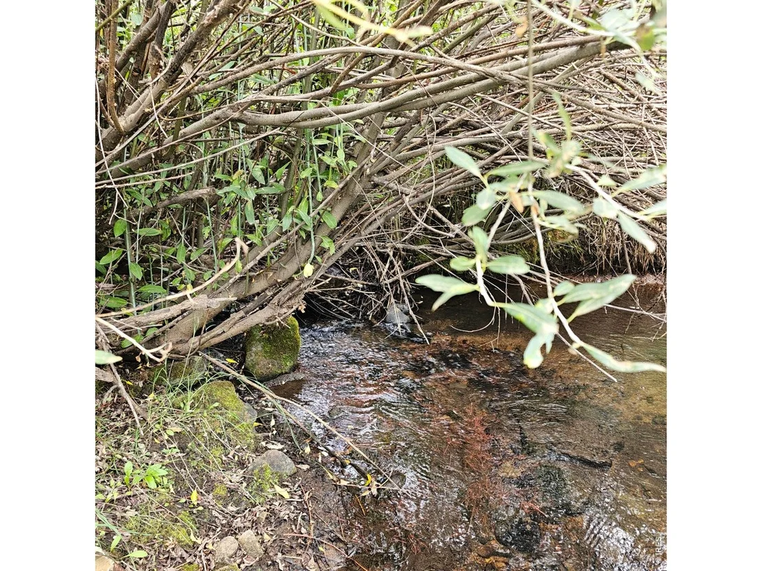 Photo of 934 County Road 192