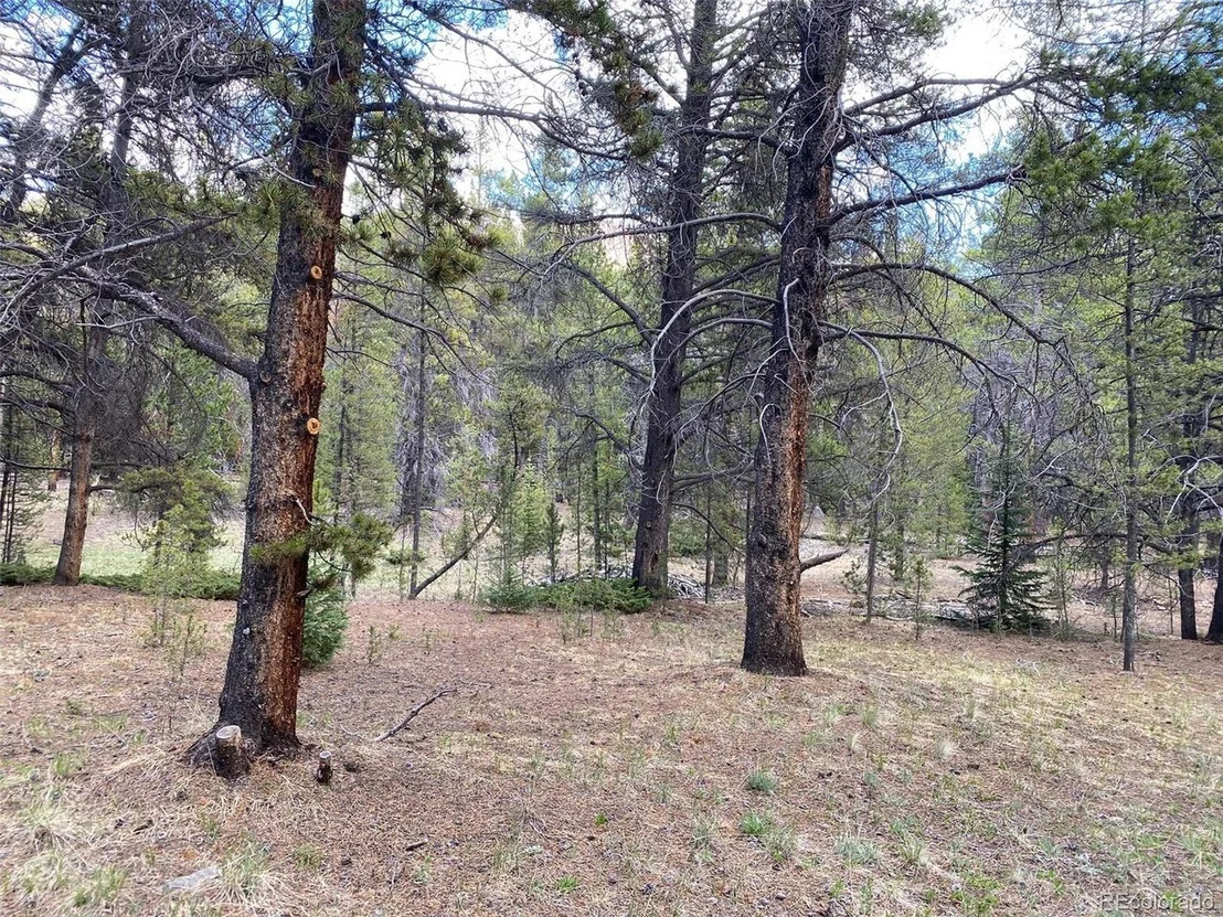 Photo of County Road 50