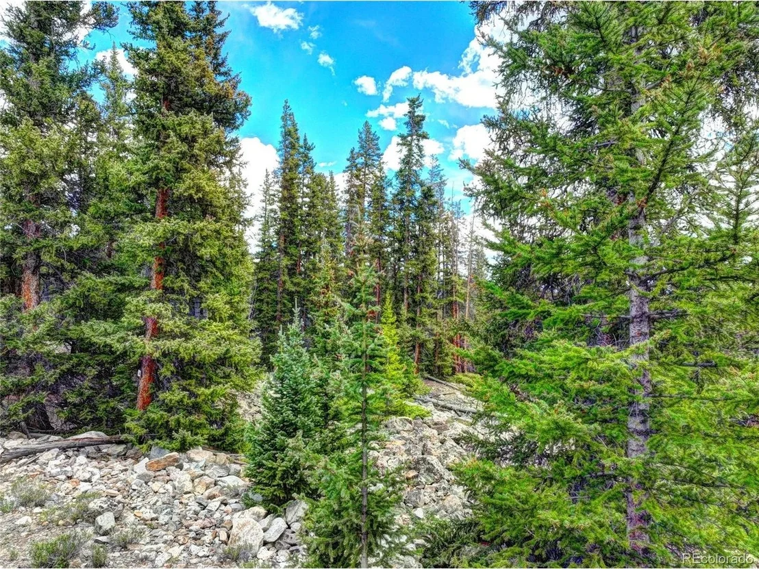 Photo of 0 Dry Gulch Rd