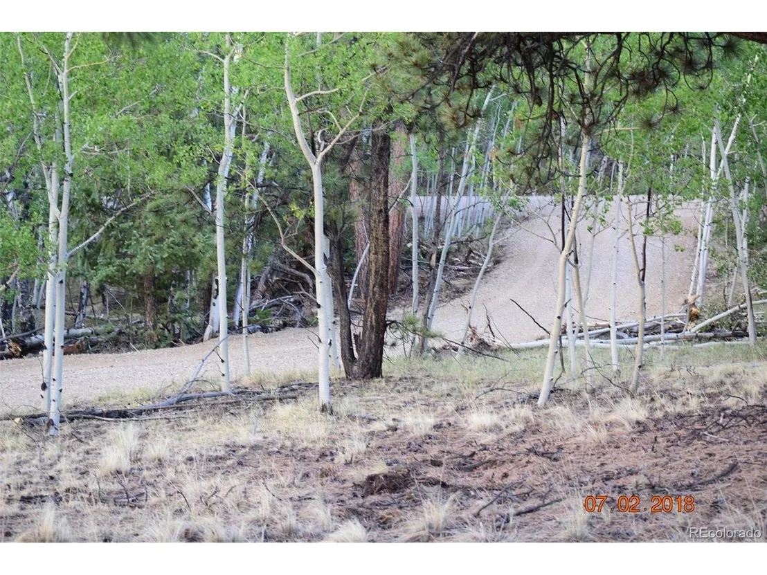 Photo of 1080 Brahma Cir