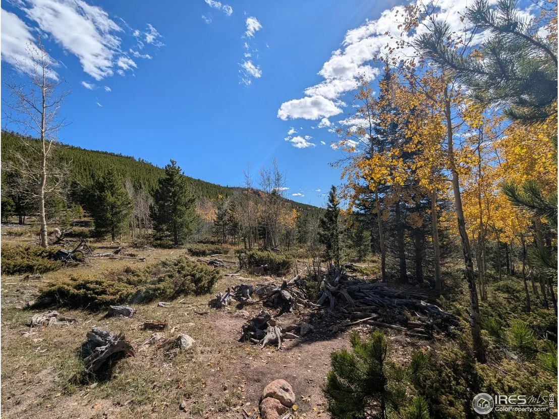 Photo of 2174 Bear Gulch Rd