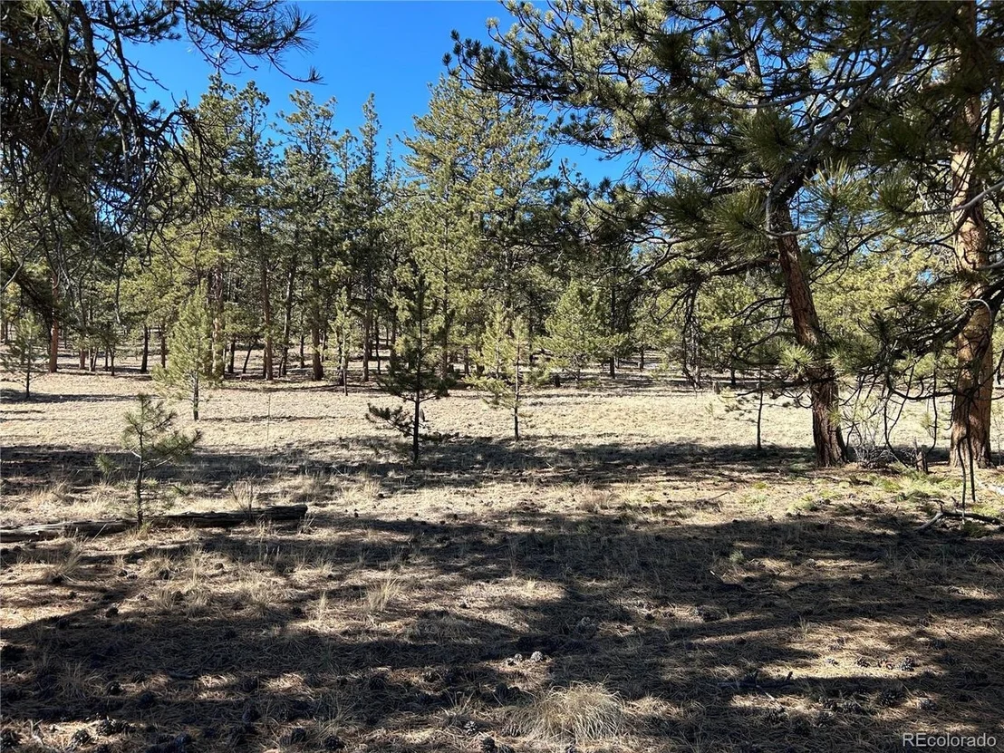 Photo of 147 Haystack Rd