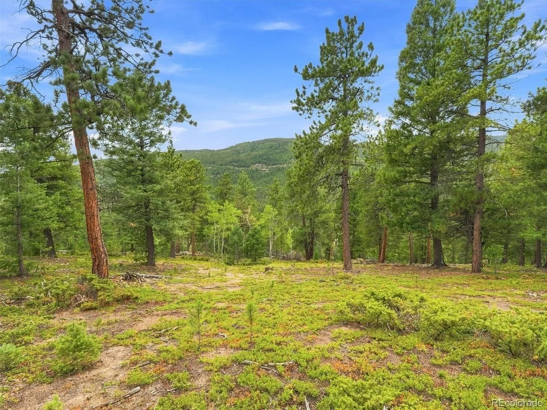 Photo of 31084 Forest Shadow Trl