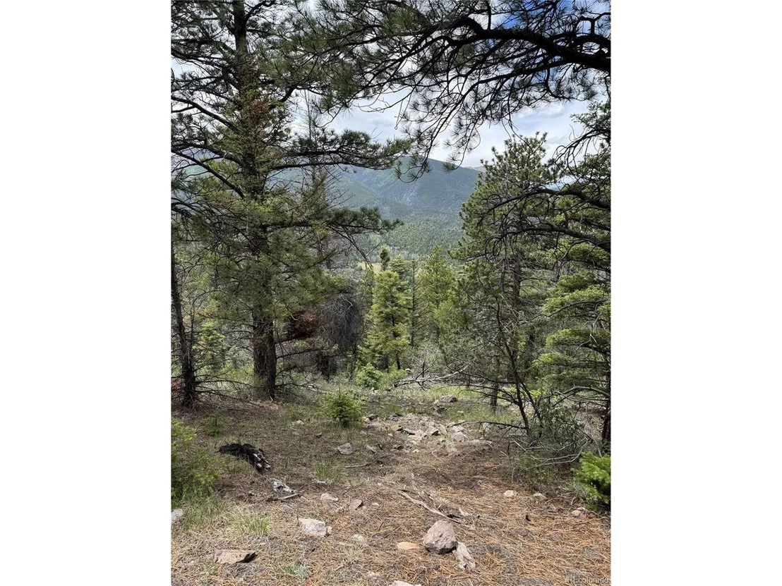 Photo of Knotty Pine Rd