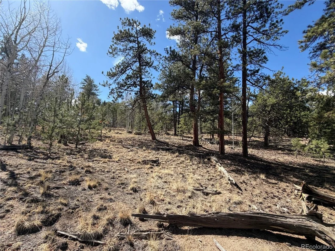 Photo of 239 Shenandoah Path