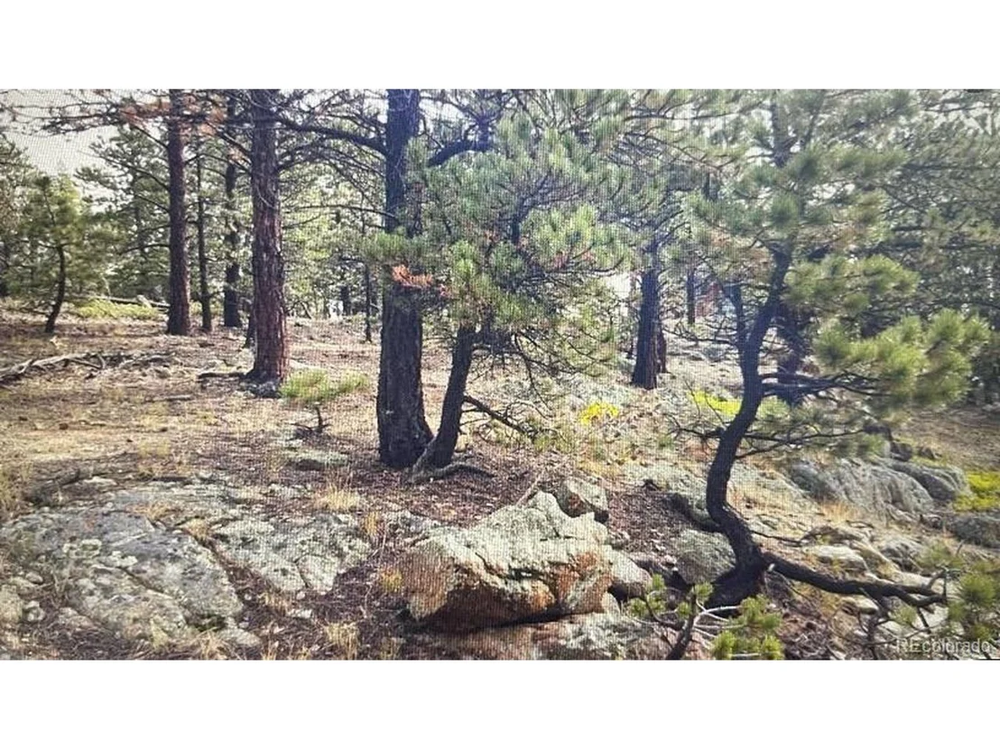 Photo of 275 Bigbee High Rd