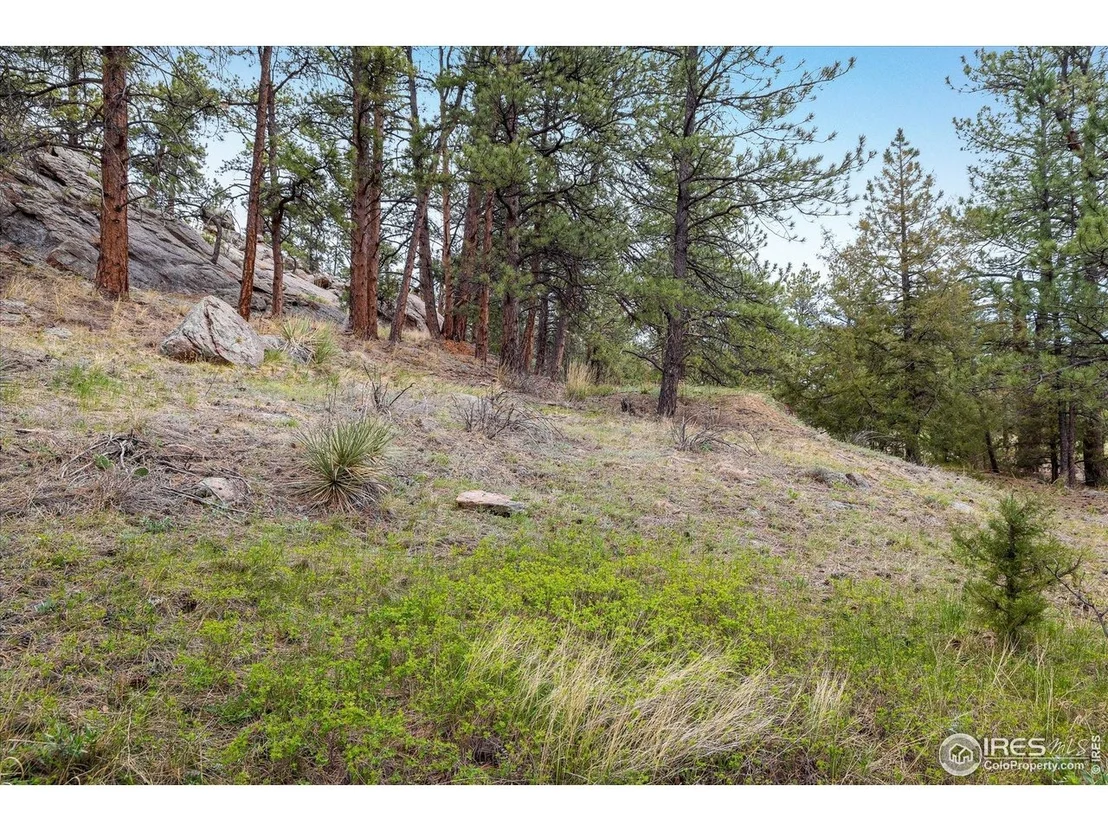 Photo of 1289 Kiowa Rd